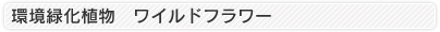 Cht[