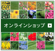 オンラインショップ