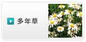 多年草