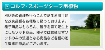 ゴルフ・スポーツターフ用植物