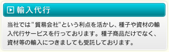 輸入代行