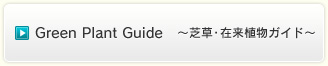Green Plant Guide　～芝草・在来植物ガイド～