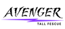 AVENGER