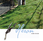 heron