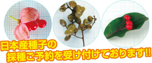 環境緑化関係