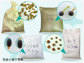 環境緑化関係