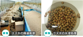 環境緑化関係