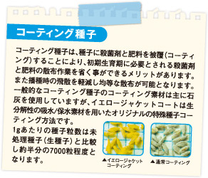コーティング種子