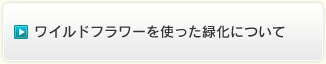ワイルドフラワーを使った緑化について