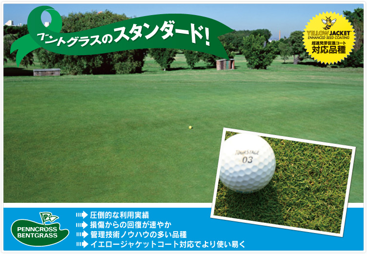 ペンクロス,ベントグラスのスタンダード！