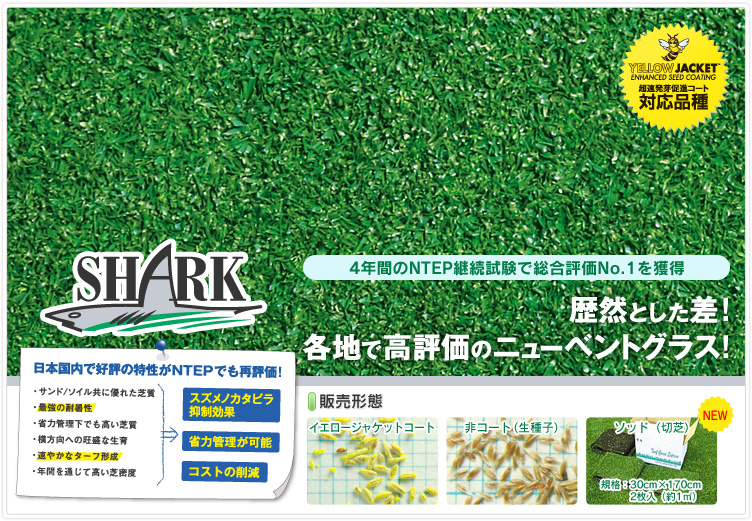 シャーク,クリーピングベントグラス,高い耐暑性,スズメノカタビラの発生抑制,省力性,速やかな発芽と初期生育