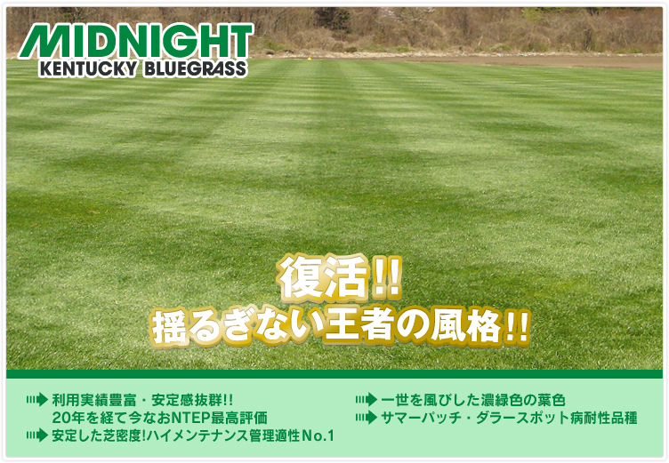 ミッドナイト,ケンタッキーブルーグラス,NTEP総合評価NO1