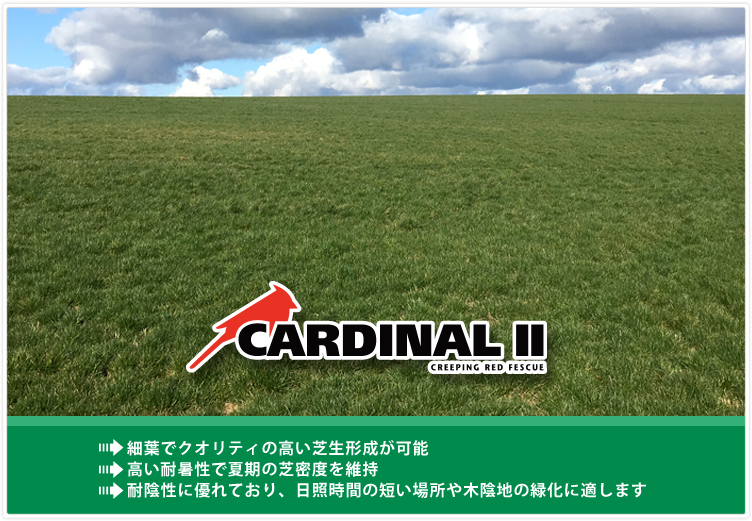 好評を博す日陰向け品種　カージナルll