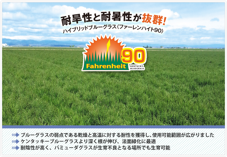 ファーレンハイト,ケンタッキーブルーグラス,ハイブリッドブルーグラス,耐暑性,耐旱性,耐陰性