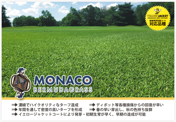 モナコ,バミューダグラス,種子繁殖,リビエラの後継品種,ティフトンレベルの芝質